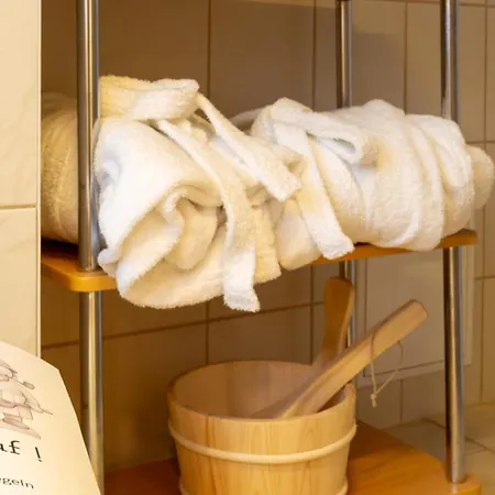 Neu - Dachsuite Mit Privater Sauna & Dachterrasse Schneeberg (Saxony)