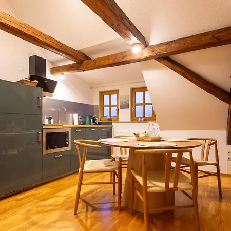 Neu - Dachsuite Mit Privater Sauna & Dachterrasse Schneeberg (Saxony)